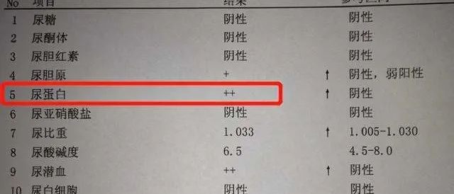 青春檢驗站蛋白尿是咋回事