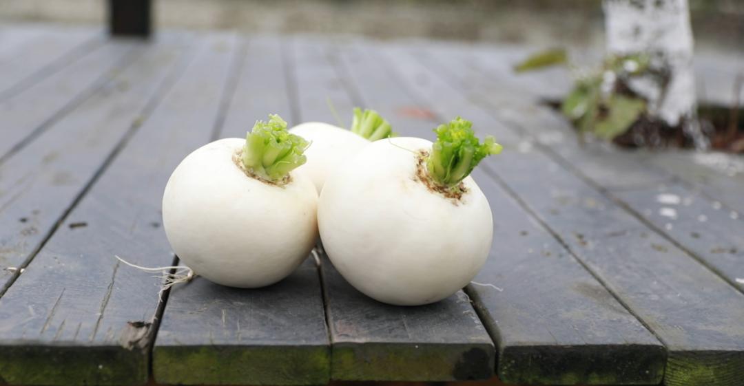 解密云桥村小萝卜如何托起大产业