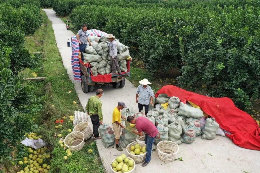 致富农民李文龙_致富农民养殖_农民致富经