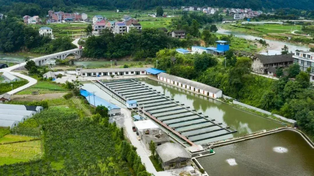 瓦寨镇生态鱼养殖基地长吉镇三穗鸭标准化生态养殖示范基地