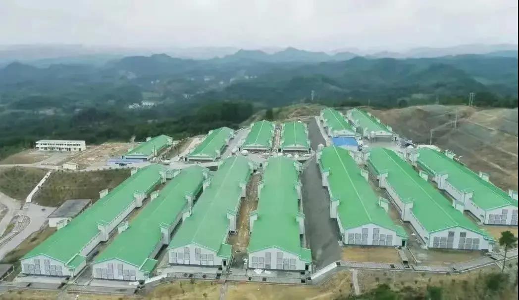 长吉镇三穗鸭标准化生态养殖示范基地