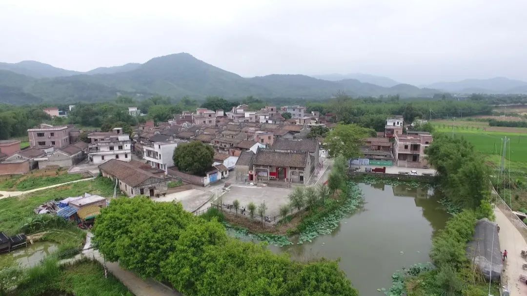 元旦小长假哪儿玩好来一场四会休闲乡村游