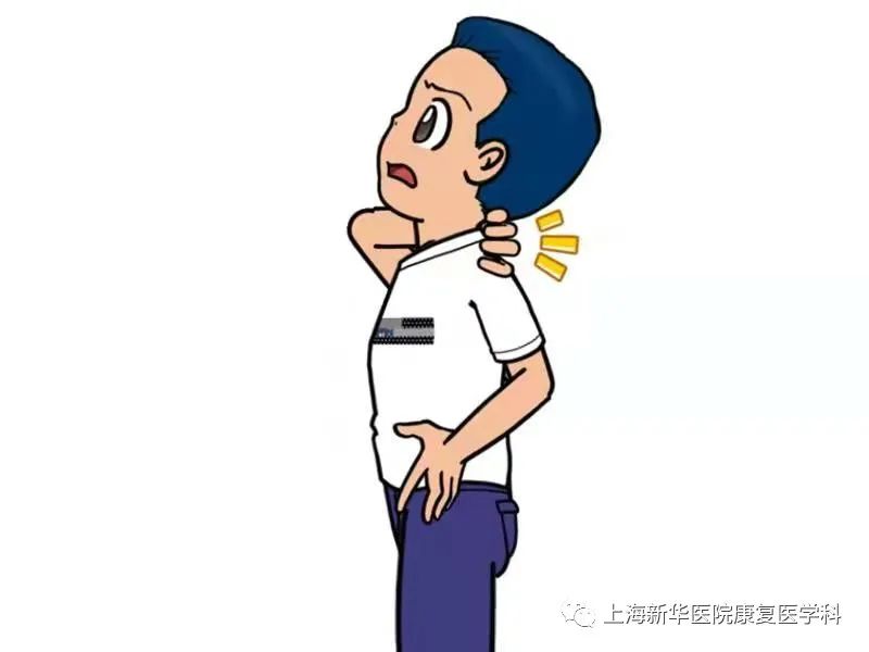 颈部疼痛知多少