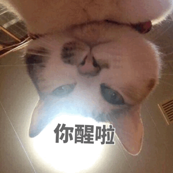 2022第二天广东最高气温245