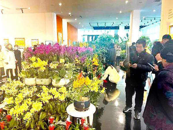 范家屯年味青怡坊年货大集开集