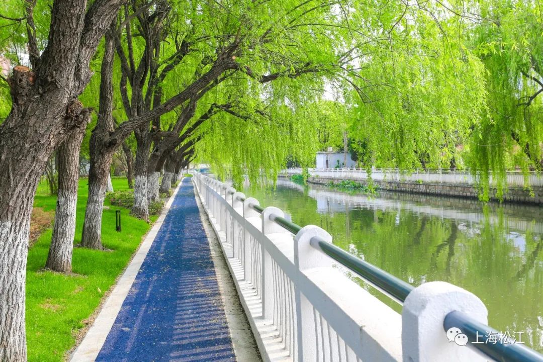 2021年松江新添了这些休闲绿地