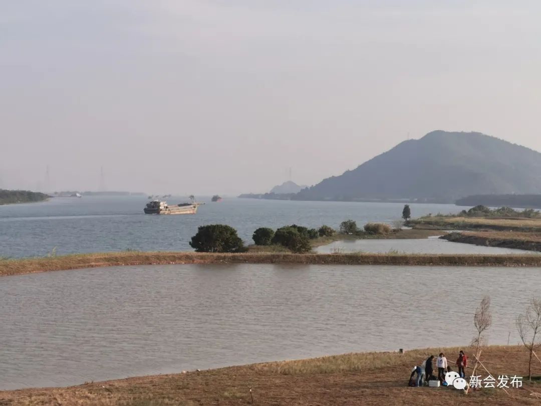 大鳌镇:美!这里将新增一湿地公园!