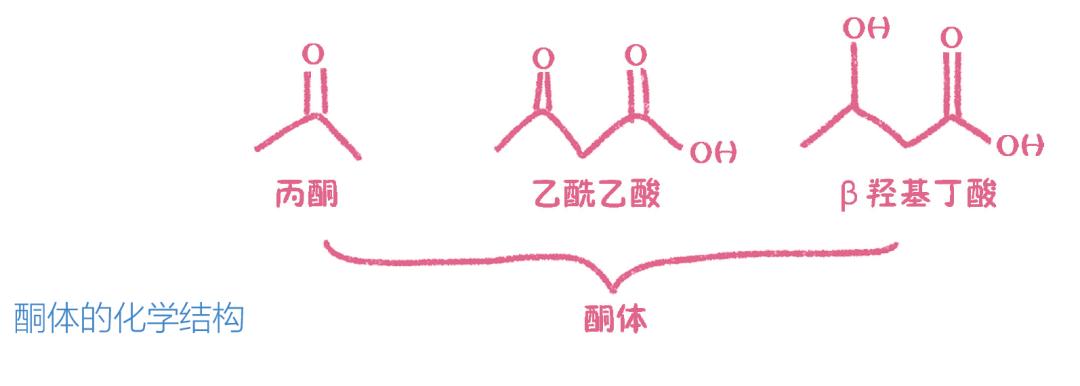 酮体阴性图片