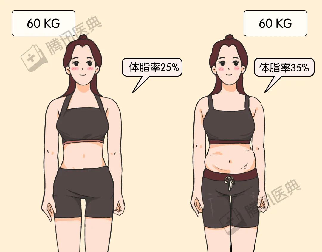 寒冷冬季,胖子和瘦子到底谁更怕冷?_澎湃号·湃客_澎湃新闻-The Paper