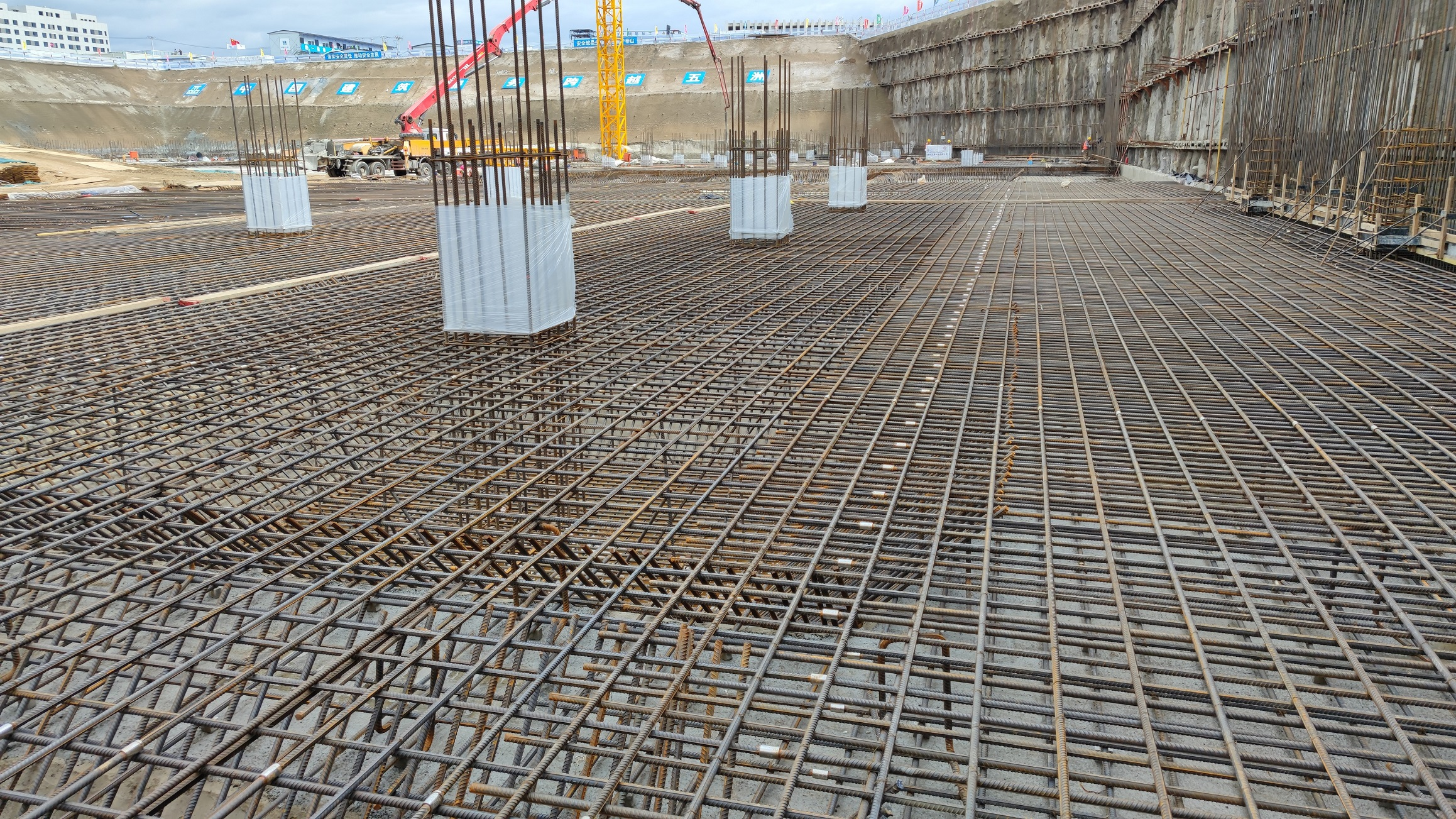 心血管区域医疗中心筏板基础钢筋网施工