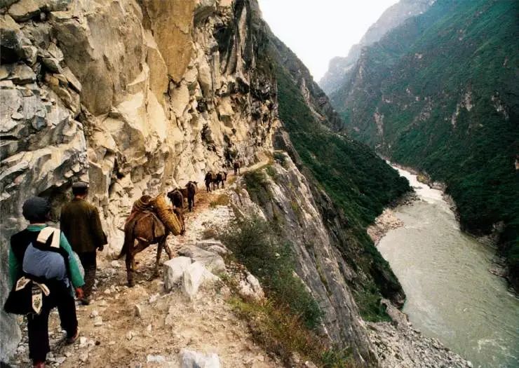 【历史文化】芦山茶马古道探秘‖李靖_澎湃号·政务_澎湃新闻-the pap