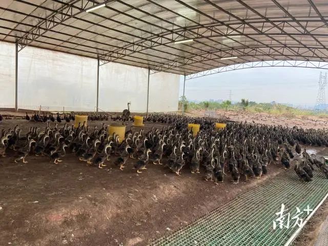 他用坚韧打破所有质疑.