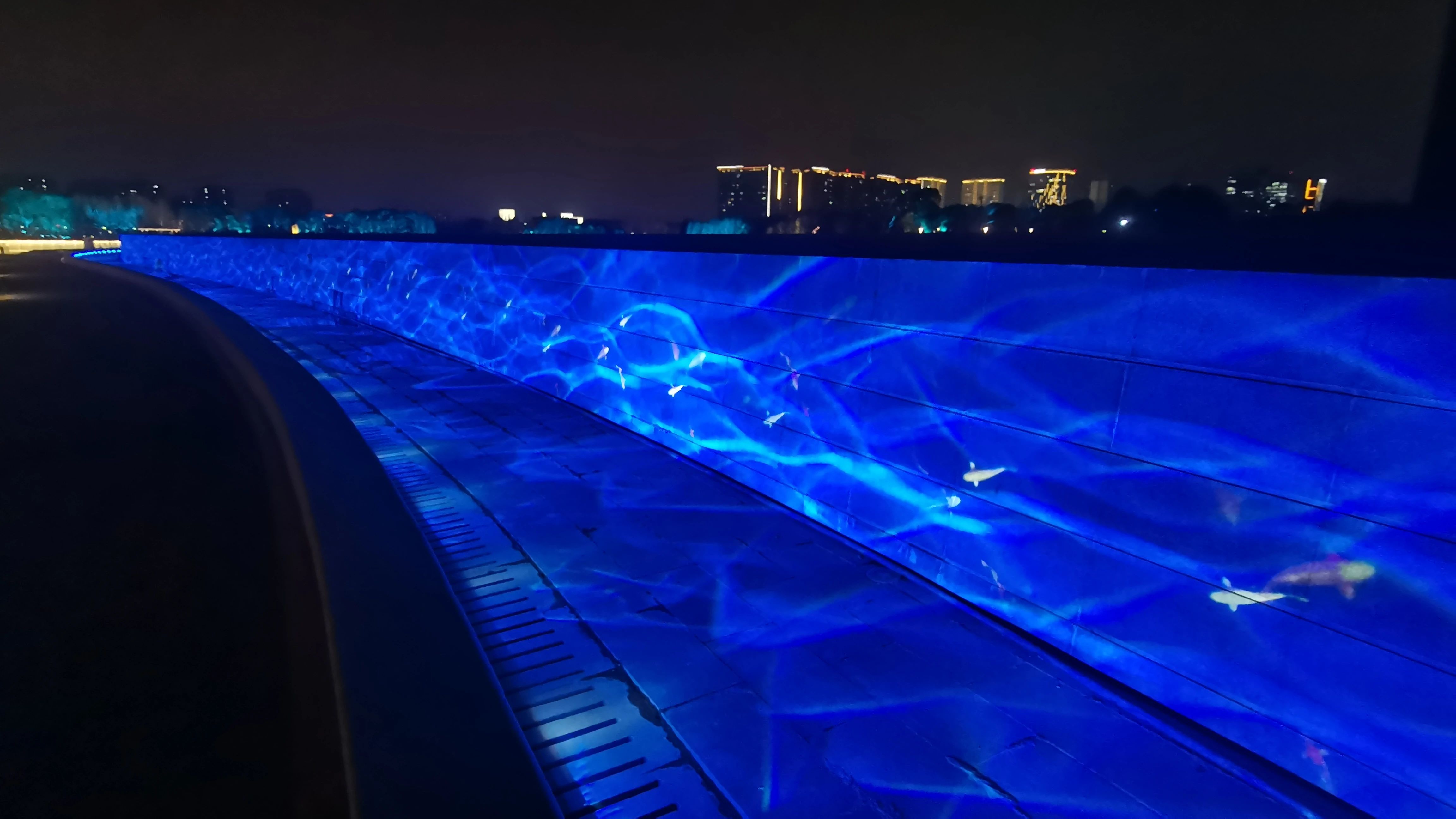 今晚亮灯明起开放远香湖焕新小嘉带你先睹为快