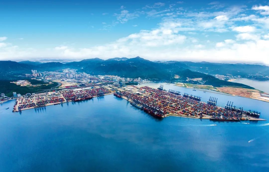 压舱石稳了2021年深圳海空双港逆势增长