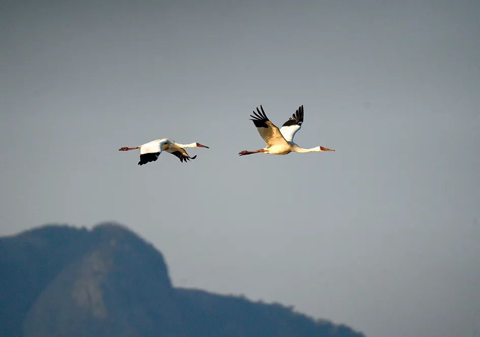 美景象山道人山山美水长鸿雁飞天光云影共徘徊