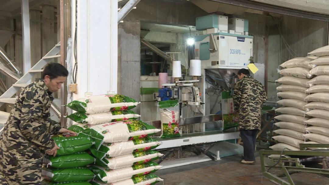 【围绕"四新"主攻"四化"】金穗米厂引设备 产值提