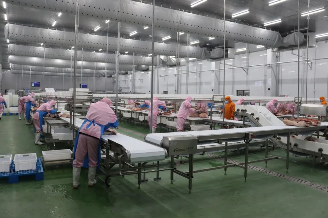 抓招商促项目谋发展丨中粮家佳康吉林有限公司长岭分公司屠宰业产业链