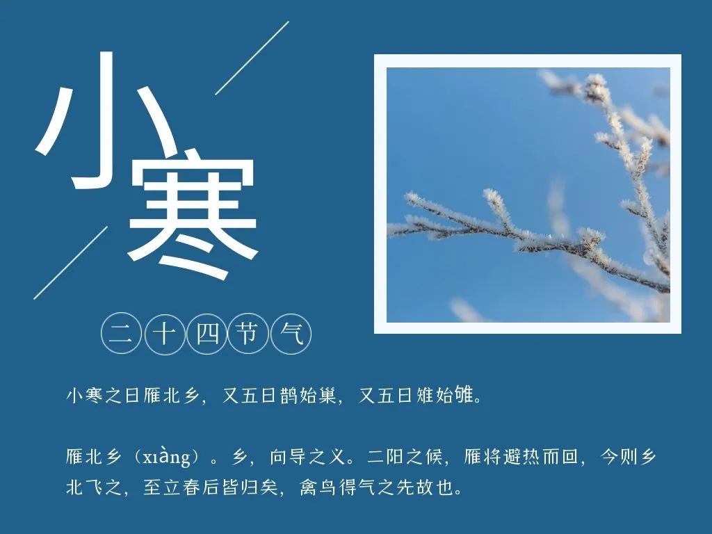 小寒 | 时处二三九,天寒地冻冷到抖_澎湃号·政务_澎湃新闻-The Paper