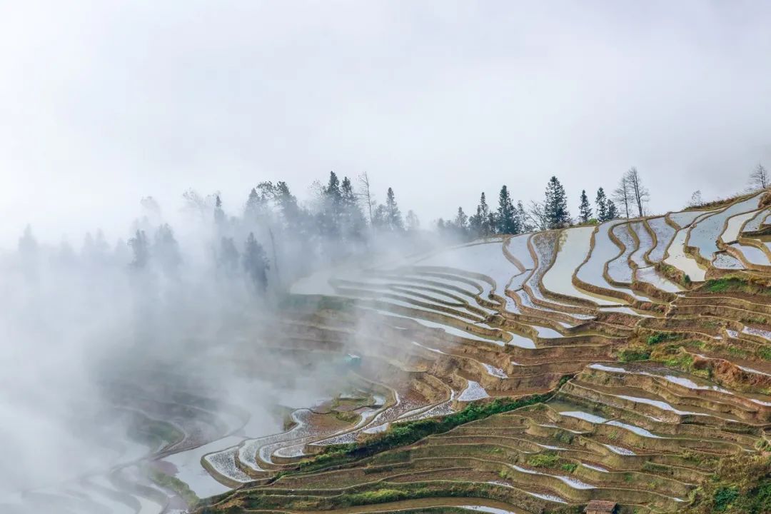 村寨,梯田,水系