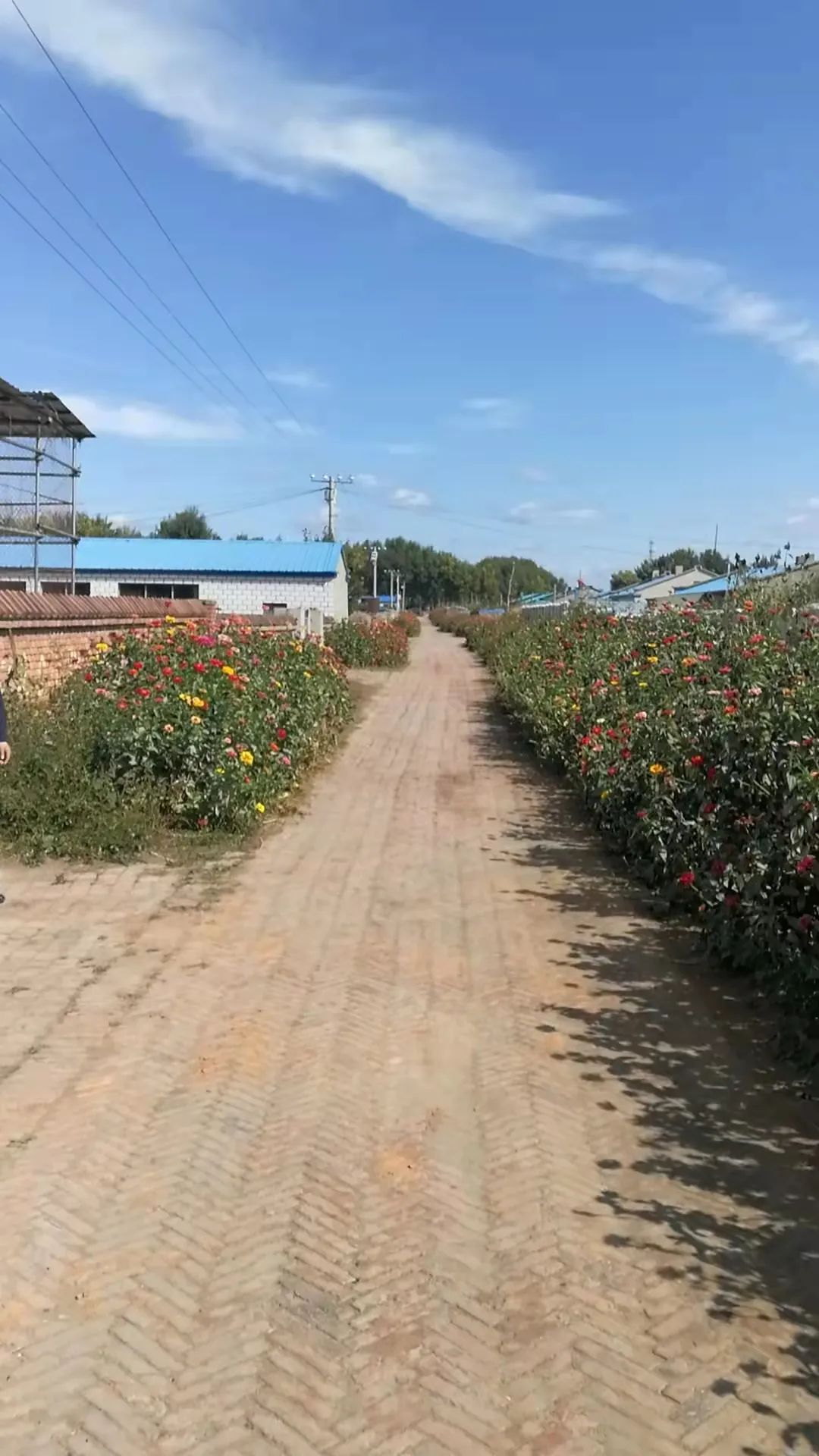 乡风文明太阳升镇持续开展环境卫生整治助力人居环境再提升