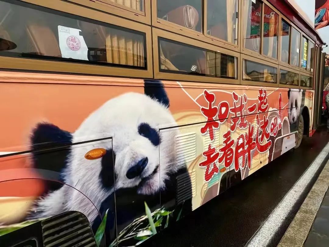 熊猫巴士页面图片