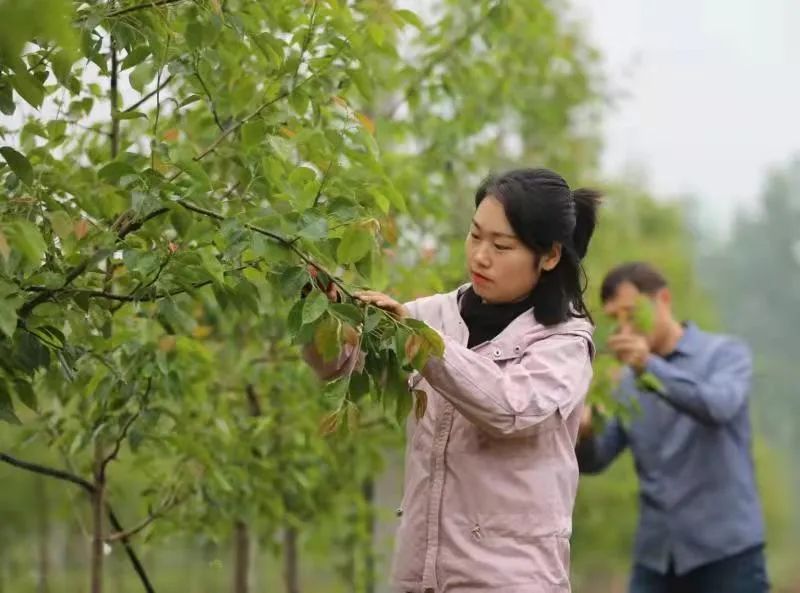 洛宁青年李萱萱荣获首届全国乡村振兴青年先锋称号