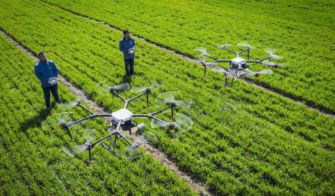 2021年农业现代化示范区创建名单 山西清徐,太谷,临猗入选_澎湃号·媒