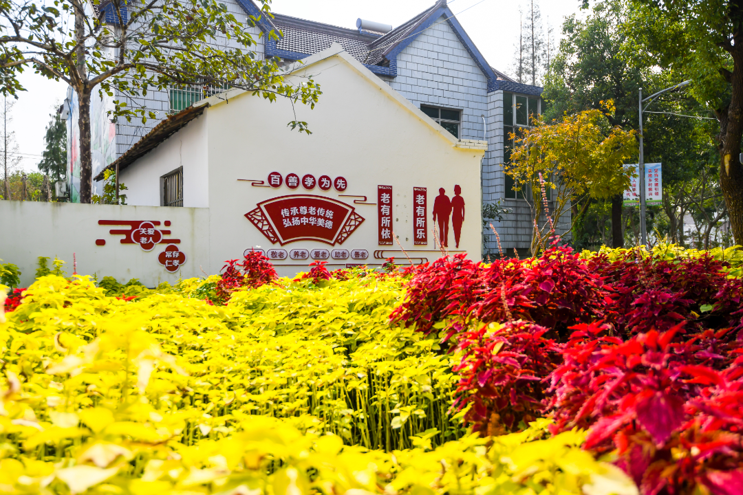 保障房建设五厍老街整体修缮体育公园升级泖港镇2022年度实事项目出炉