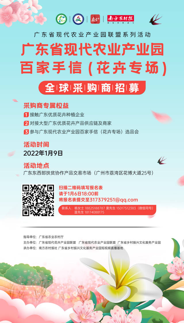 买年花咯 广东省现代农业产业园百家手信评选活动 花卉专场 邀您赏花 媒体 澎湃新闻 The Paper