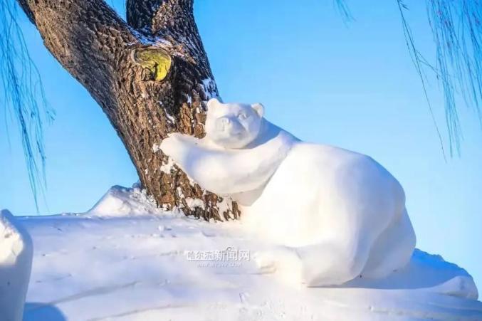 冰雪萌物全城溜达
