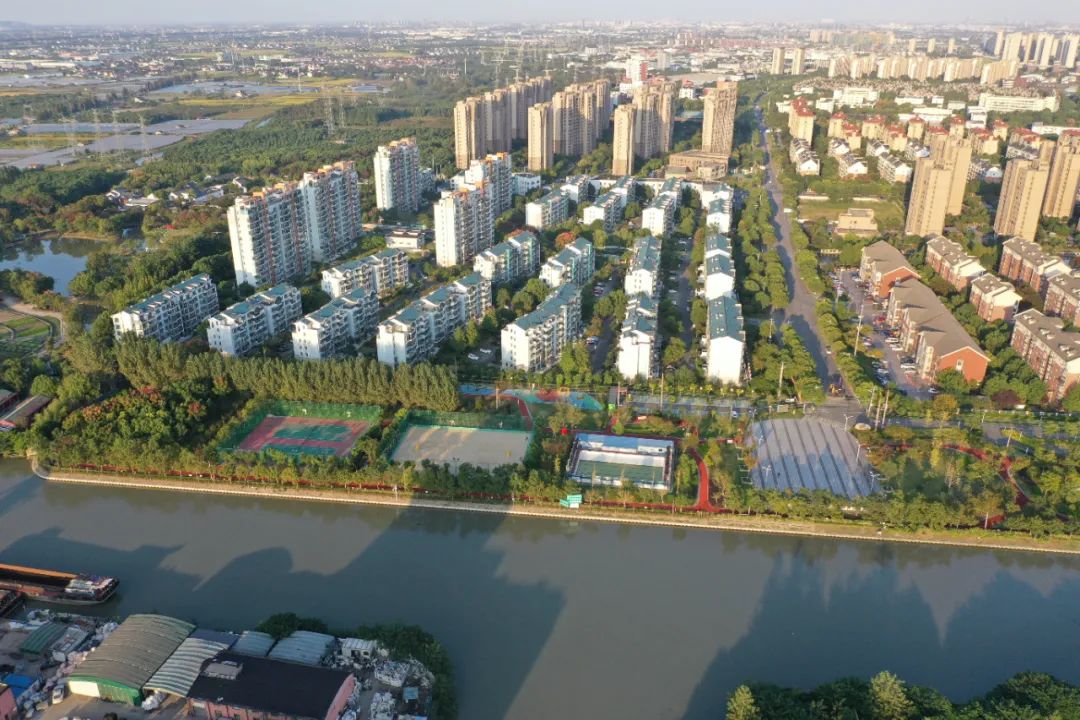 菊园新区科技的味道有点甜