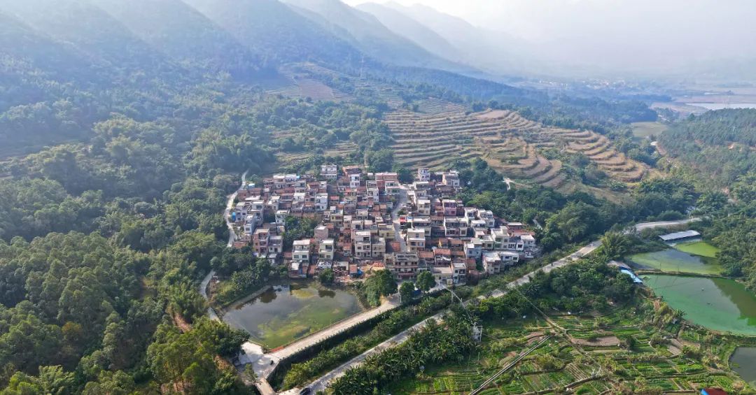 颜值与产值齐飞这里是高要禄步镇新洲村