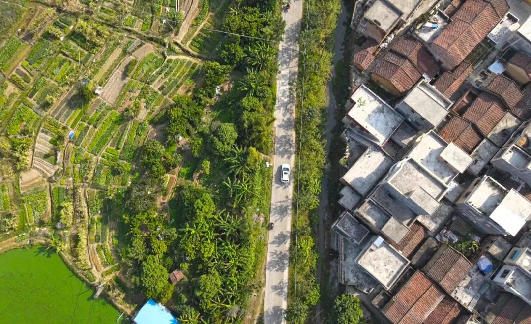 颜值与产值齐飞这里是高要禄步镇新洲村