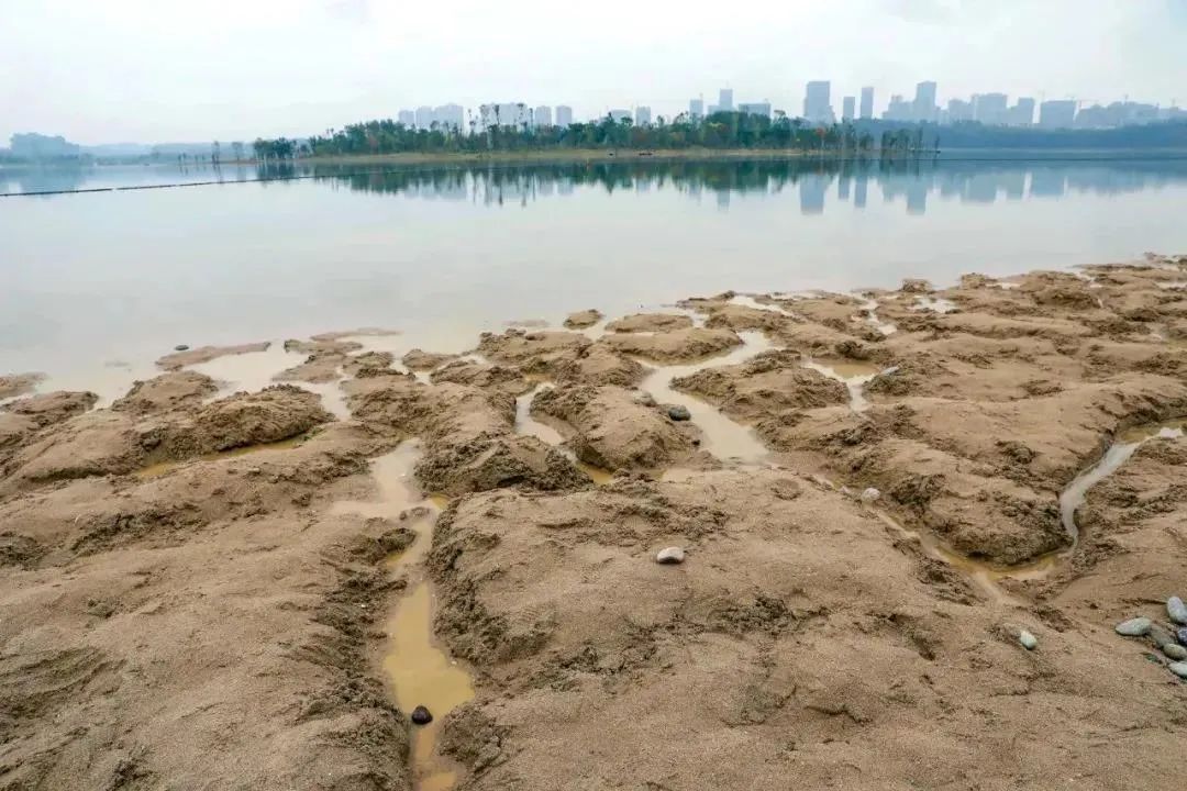 沒想到興隆湖沙灘竟然藏著