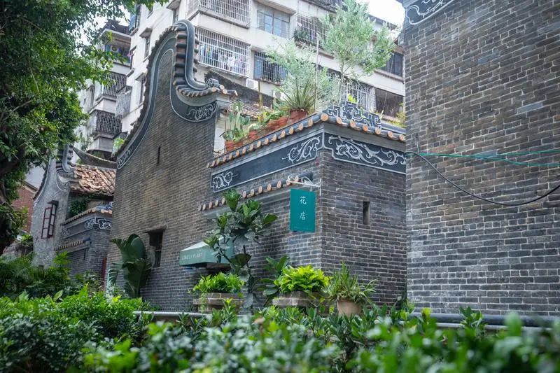 区长访谈:在禅城,幸福没有天花板!_澎湃号·政务_澎湃新闻-The Paper