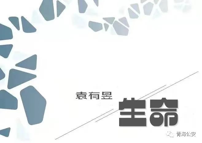 天明是阳光撕开黑的幕布春天是冬日分娩生命的幸福三百六十五个的重复