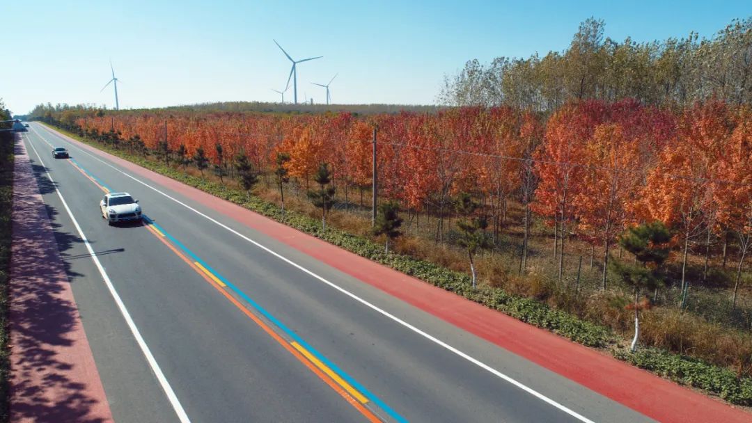 路"样板路东海县利用西部生态廊道优势,对双店,李埝,温泉,李埝林场