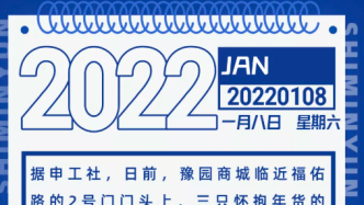 【市民云资讯】2022年豫园新春游园将于本月18日揭幕→