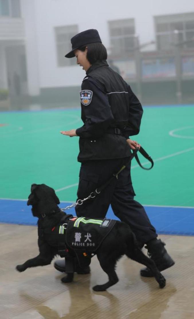 女特警背影图片