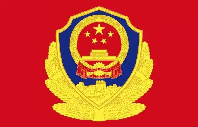 西安区人民法院司法警察大队开展第二届警察节宣誓活动