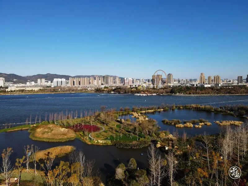 昆明草海隧道湿地公园已初具规模,种植有水杉,银杏,滇润楠,云南樱花