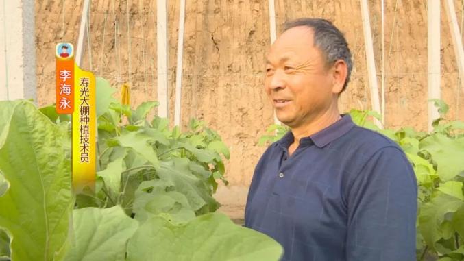 在寿光的蔬菜大棚种植基地,有两个外地来的小伙子,安徽人小董和小田在