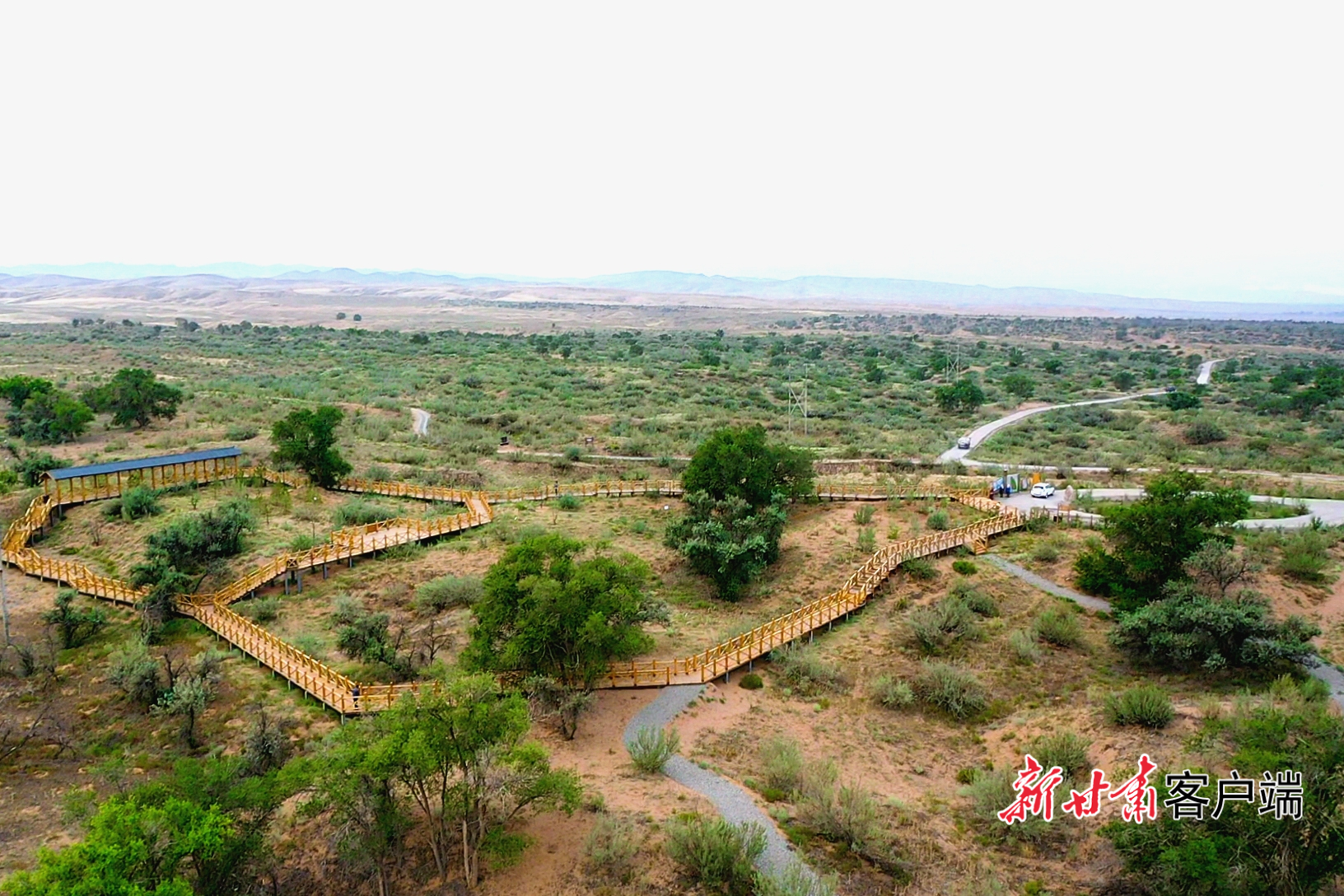 古浪县八步沙林场荣获第七届甘肃省人民政府质量奖