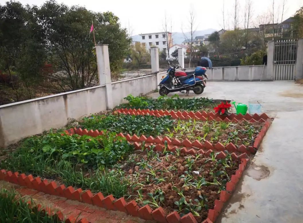 阳台种菜 小菜园整体设计、安装、养护 提供种菜所有资财-阿里巴巴