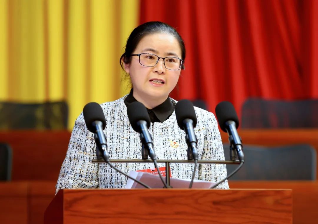 董丽红委员代表奉贤区政协委员海湾镇联络组发言要推动治理理念"大