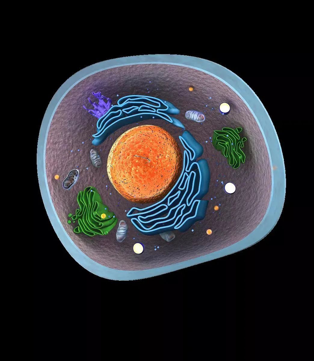 科学奥秘细胞的精美超清大图