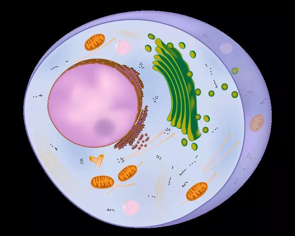 科学奥秘细胞的精美超清大图
