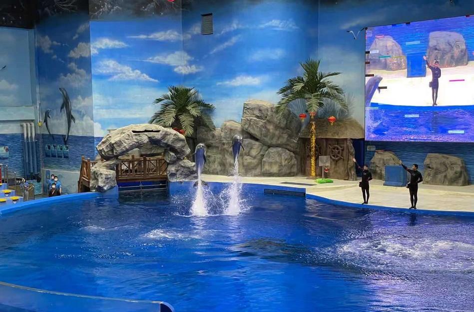 景区包含有全国最新第四代创新型和华中最大的室内海洋馆,华中唯一的