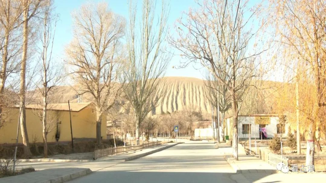 新春走基层古浪镇用心用情用功书写美丽乡村新篇章