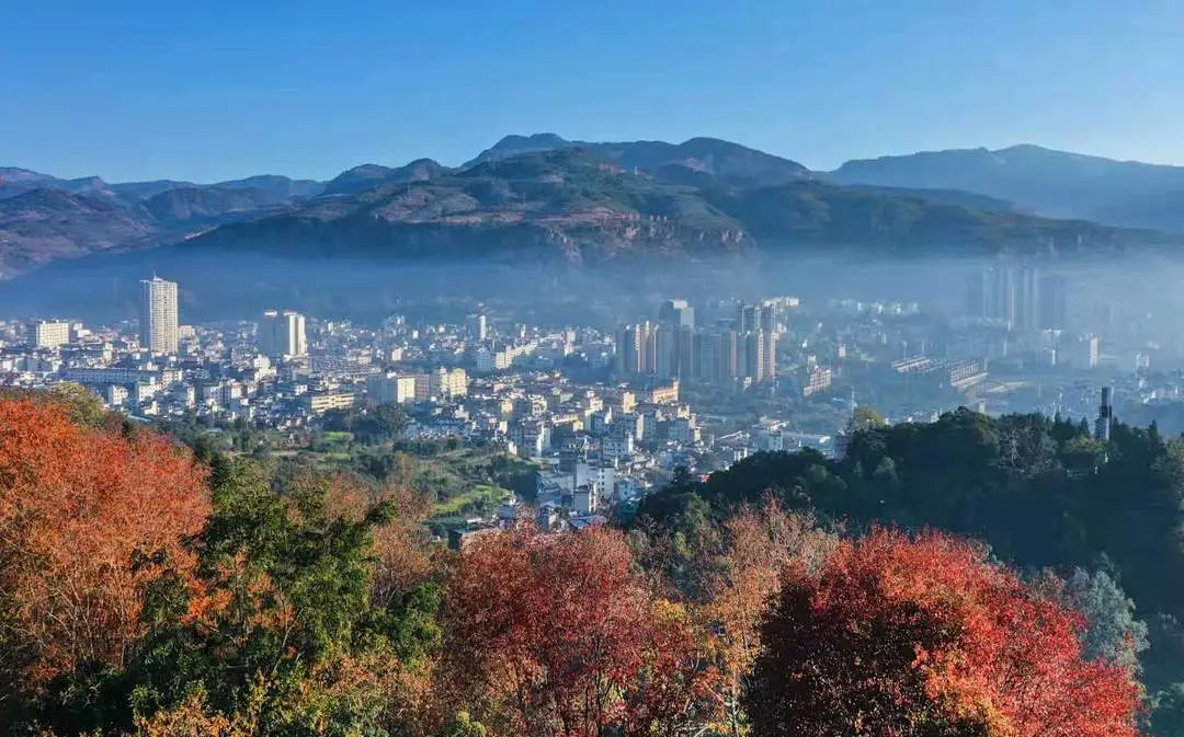 丽江华坪聚力三张牌打造高原特色现代农业和全域康养旅游两个百亿级